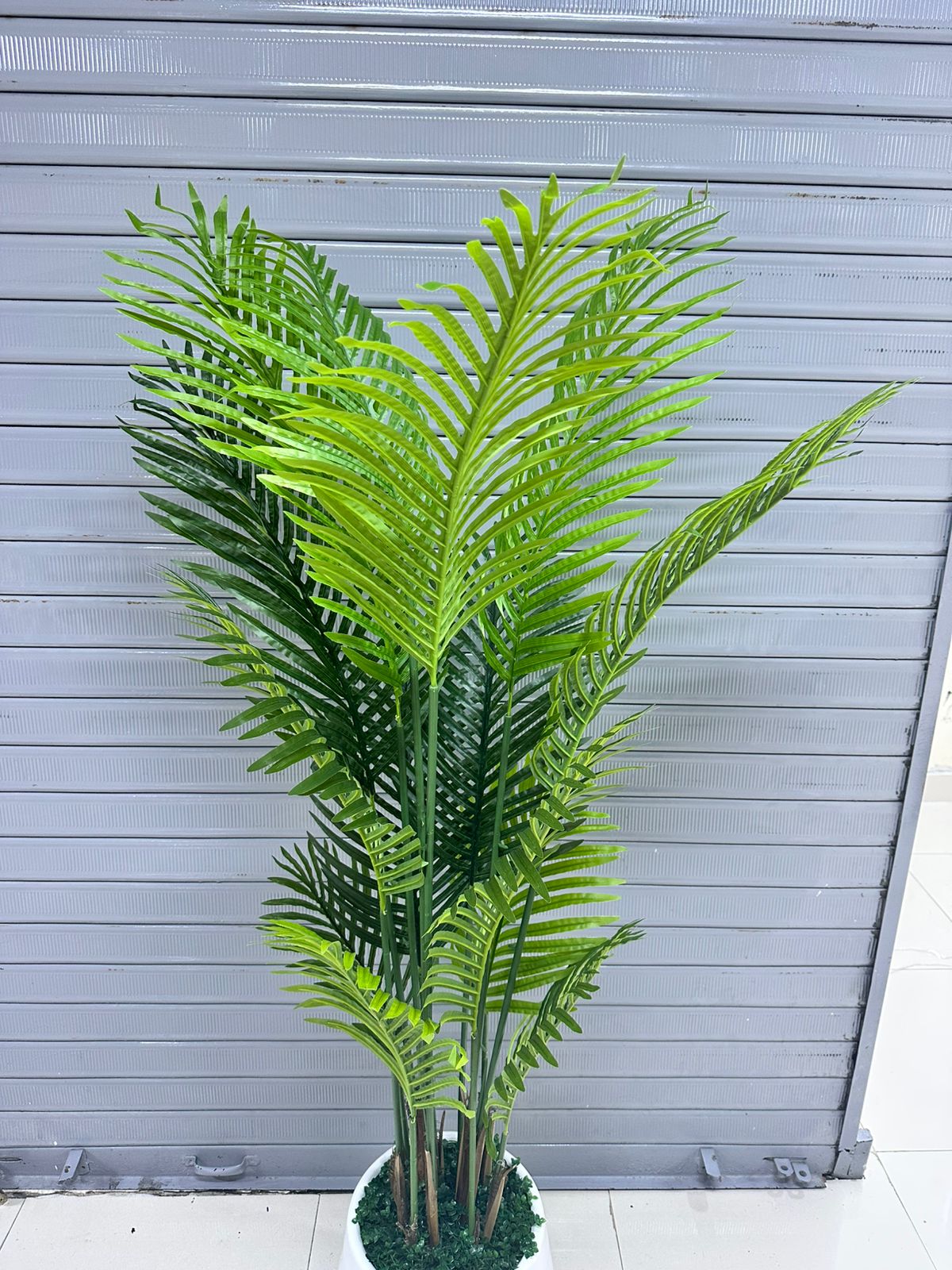 Palmera Areca + base de fibra de vidrio